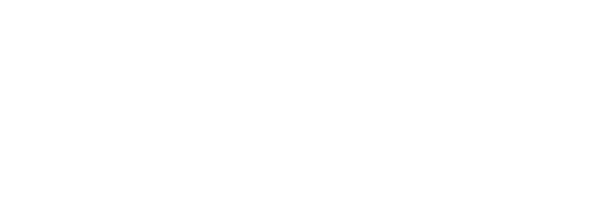 IVECO Torino